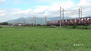 東海道本線　穂積　－　関ヶ原　2011/09撮影　EF200