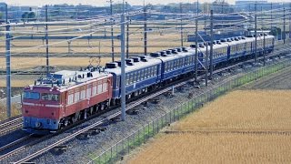 2016/12/02　東北本線　東鷲宮－栗橋　JR東日本　EF81-81（田端）＋12系（高崎）