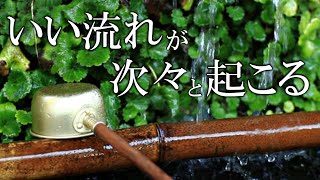 【聴く開運習慣】いい事が次々と起こる888Hz開運音源　心身が安定して好展開を引き寄せるソルフェジオ周波数　＃開運　＃ヒーリングミュージック　#睡眠  　＃開運　＃浄化　＃瞑想