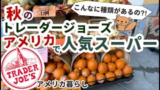 秋のTrader joe's(トレーダージョーズ）秋商品、新商品を見に行こう！パンプキンな商品だらけ！アメリカで人気のスーパー！