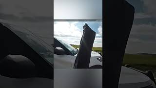 Video shows stolen beer truck crashing into patrol car in Indiana