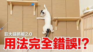 【好味小姐】用法完全錯誤!?巨大貓抓板2.0｜好味貓日常EP123