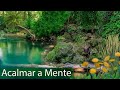 Alívio para o Stress e Ansiedade - Relaxar com Música e Sons da Natureza - Meditação para Acalmar