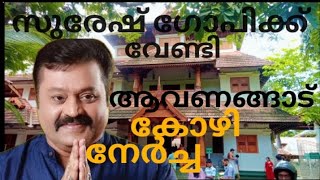 സുരേഷ് ഗോപിക്ക് വേണ്ടി ആവണങ്ങാട് ചാത്തന് കോഴി നേർച്ച🙏🏼🙏🏼🙏🏼