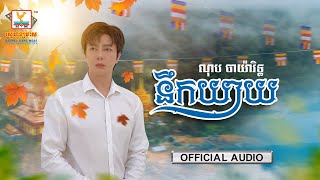 នឹកយាយ | ណុប បាយ៉ារិទ្ធ | AUDIO | RHM