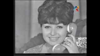 Gospodina prin telefon - Rodica Popescu Bitanescu