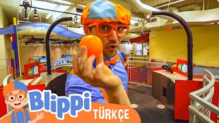 Blippi Bir Çocuk Müzesi Ziyaret Ediyor | Blippi Türkçe - Çocuklar için eğitici videolar | Türkçe Dub