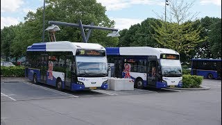 Arriva: Elektrische bussen in Venlo