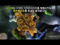 ●유사나 usana 인셀리전스 기술이란