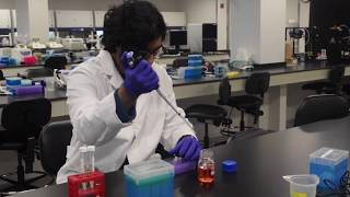 Illinois Bioengineering undergrad lab tour: Cell + Tissue Engineering
