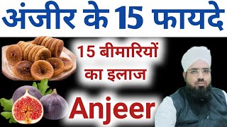 Anjeer Khaane Ke 15 Fayde || अंजीर खाने के 15 फायदे || انجیر کھانے کے 15 فائدے