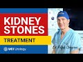 Kidney Stones Treatment by Dr. Ralph Clayman - UC Irvine Department of Urology