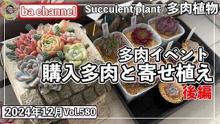 580{多肉植物}買ってきた多肉を自分ちの子にする作業🎀イベント多肉の後編【多肉事】【寄せ植え】【多肉狩り】【抜き苗】【ba多肉】【baチャンネル】【Succulent】