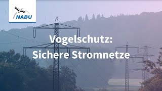 Vogelschutz: Das Stromnetz sicherer machen