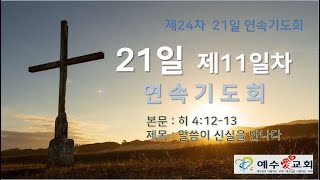 (예수애교회) 김재원목사 - 말씀이 신실을 만나다