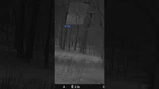 #hunting #coyote #foxpro #coyotehunting #thermalhunting #nighthunters #nightvision #223