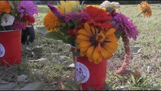 Unique U-Pick Flower Farm in Central Georgia