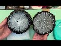 # 465 Resin Black-White-Silver Bloom With 2 Special Guests!!