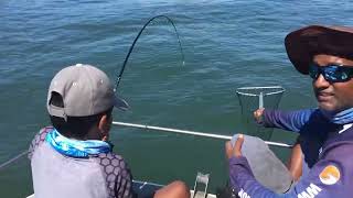 Fishing Durban Harbour for Grunter