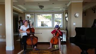 Despacito - Luis Fonsi, 2 Cellos Cover with Emilio and Hourod