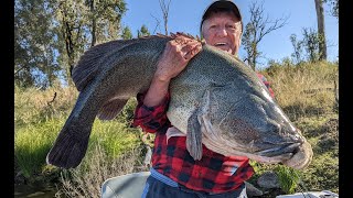 Glenlyon Dam Monster Cod