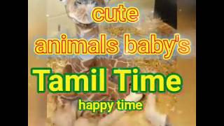 Animal baby's |  cute baby animals | குட்டி விலங்குகள் |  baby animal