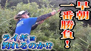 ライギョ早朝一発勝負!!