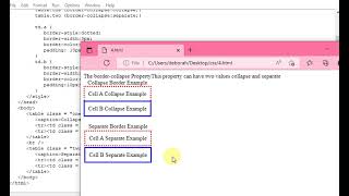 CSS tutorial -The border-collapse Property