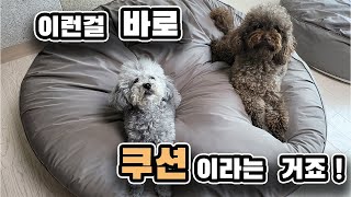 페스텝) 푹신한 강아지 쿠션 찾으세요? 그럼 무조건 이거 쓰세요! Looking for a fluffy puppy cushion? Then use this all the time!