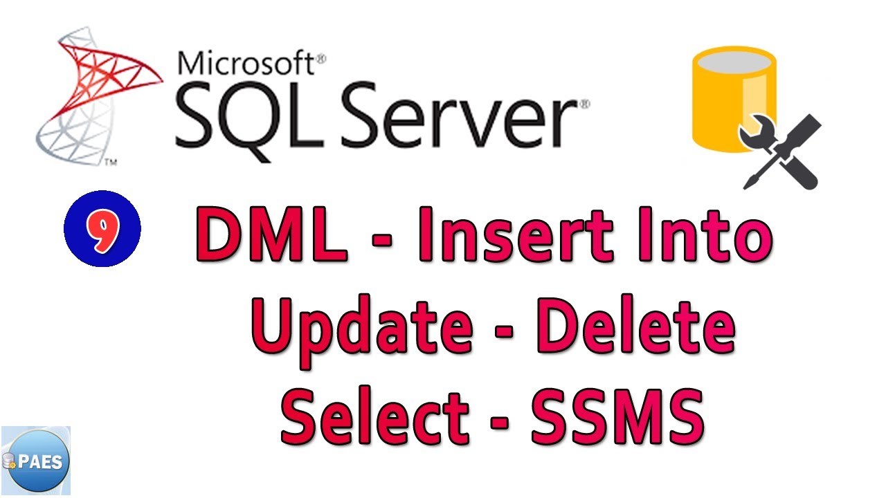 Comandos DML Do SQL Server Com Management Studio. Insert Into, Update ...