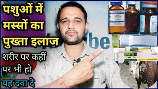 Treatment of Warts in All Animals|| पशुओं में मस्सों का इलाज||कौनसी थेरेपी अपनाएं illaj 100%||