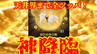 【ドラブラ】乗り物「神の翼」天井まで全ツッパ！【コード:ドラゴンブラッド】