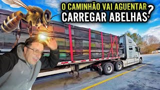 O CAMINHÃO VAI AGUENTAR O CARREGAMENTO DE ABELHA 🐝 PRIMEIRA VIAGEM COM OS PENEUS NOVOS