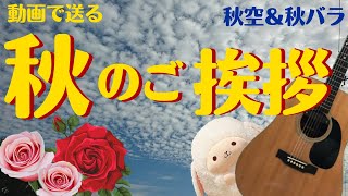 【秋のご挨拶（秋バラ＆秋空）】秋の雲＆秋の虫の鳴き声・鳥のさえずり・ギターBGM　秋の動画　グリーティングカード　  autumn   greeting card