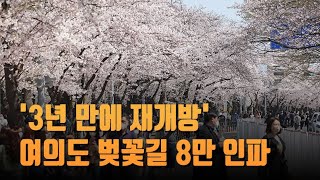 3년 만에 돌아온 여의도 벚꽃길…8만 인파 '북적'