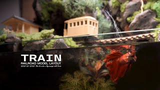 Build Betta Fish Aquatic Train Adventure: Combining a Railway Diorama with a Miniature Wooden Bridge