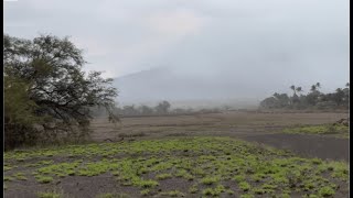 Jan 30 2025 7:45am Maui Winter Storm Begins in North Kihei, Snow Expected on Haleakala Summit Hawaii