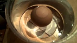 Trying " The Float Test " - Checking For Life / Eggs 24 hours Overdue