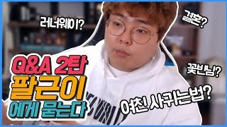 [팔근Live] 팔근이 Q\u0026A 2탄!!! 궁금한게 더 있다니!!