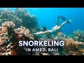 MUST DO Activity in Amed: Snorkeling in Jemeluk Bay (Bali)