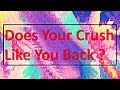 Does Your Crush Like You Back?