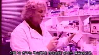 화장품 화확보존제 파라벤은 무었인가.wmv