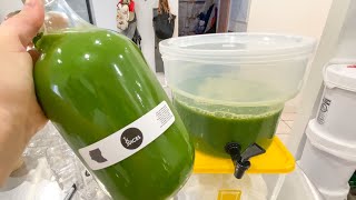 Growlers of GREEN JUICE