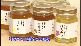 四日市ＡＲ動画　蜂蜜（201510）