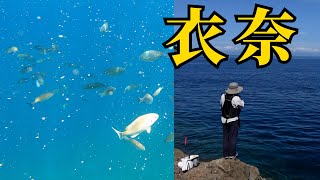 和歌山県衣奈で秋磯フカセ釣り（水中映像あり）