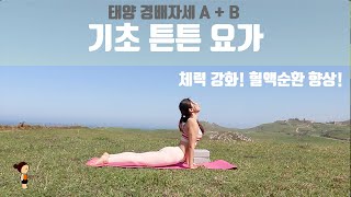 (요가은) 기초 튼튼 요가 / 태양경배자세 A, B , 체력강화! 혈액순환 향상!