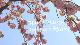 어버이날 감사의 마음을 전하는 메세지 캘리그라피 11