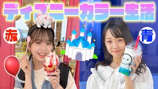 【ディズニー】ルーレットで出た色で遊べ！夢の国でカラーチャレンジ生活🎈