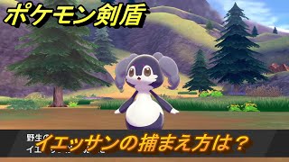 ポケモン剣盾　イエッサンの出現場所は？オススメの場所は？天気は？ポケモン図鑑コンプへの道！　最新版【ポケモンソード・シールド】