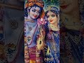 radhey krishna bhajan radhey krishna ki jyoti alokik vrindavan vrishbhan ytshorts uvbhaktiras